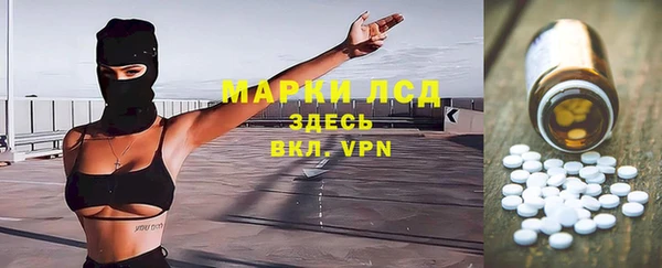 гидра Приозерск