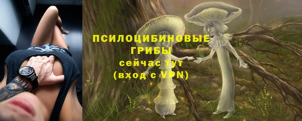ешки Козельск
