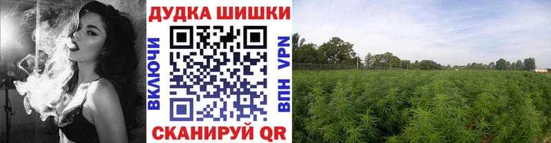 купить  сайты  Ковдор  Бошки марихуана индика 